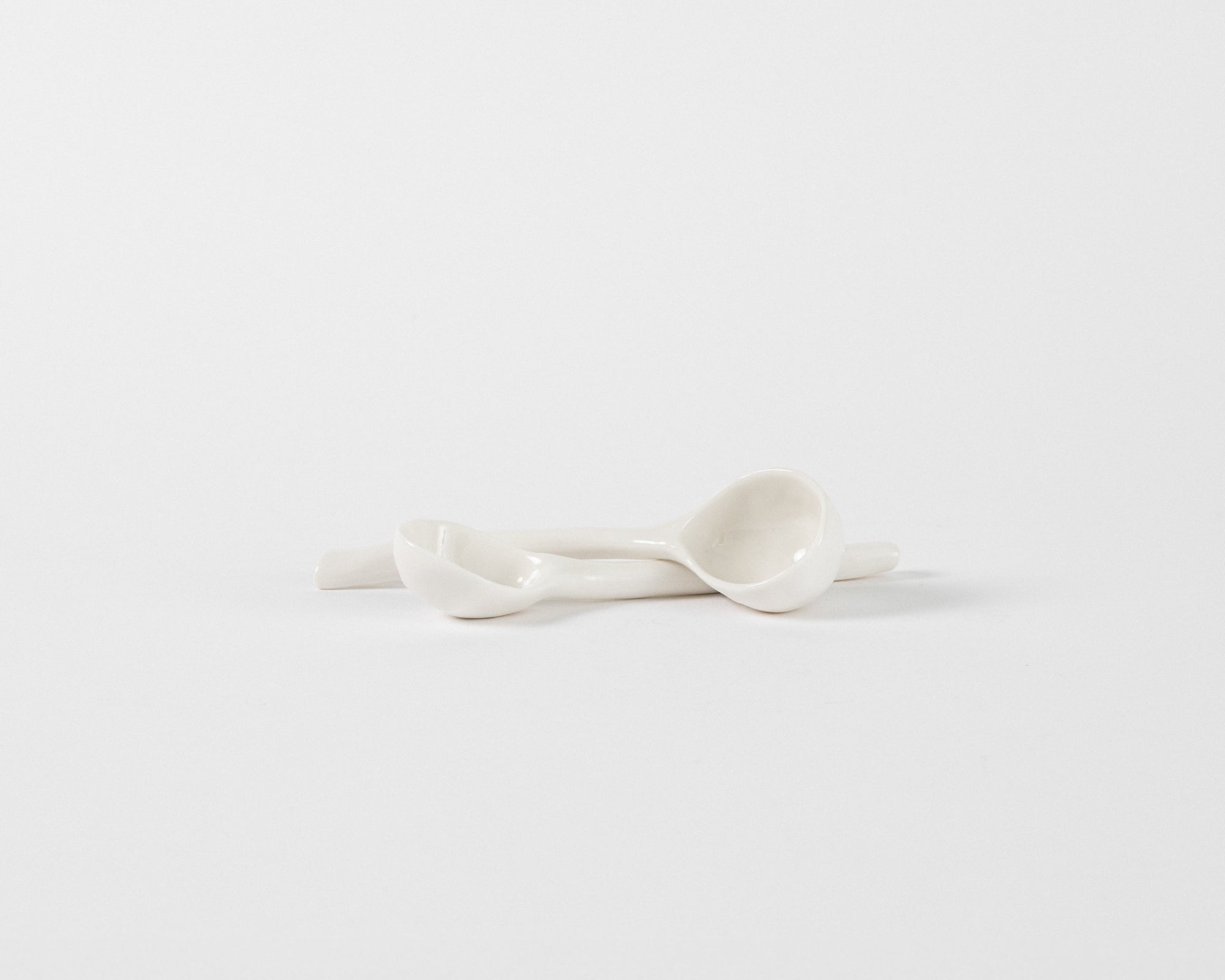 Large Spoon Set of 2