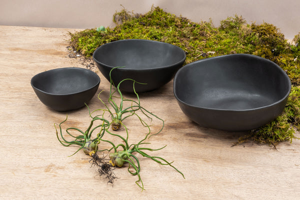 Complete Bowl Set