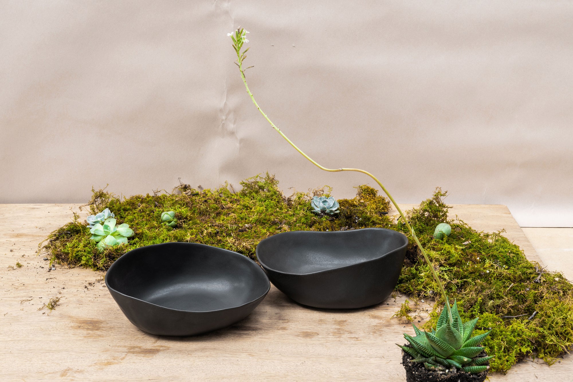 Large Dinner Bowl