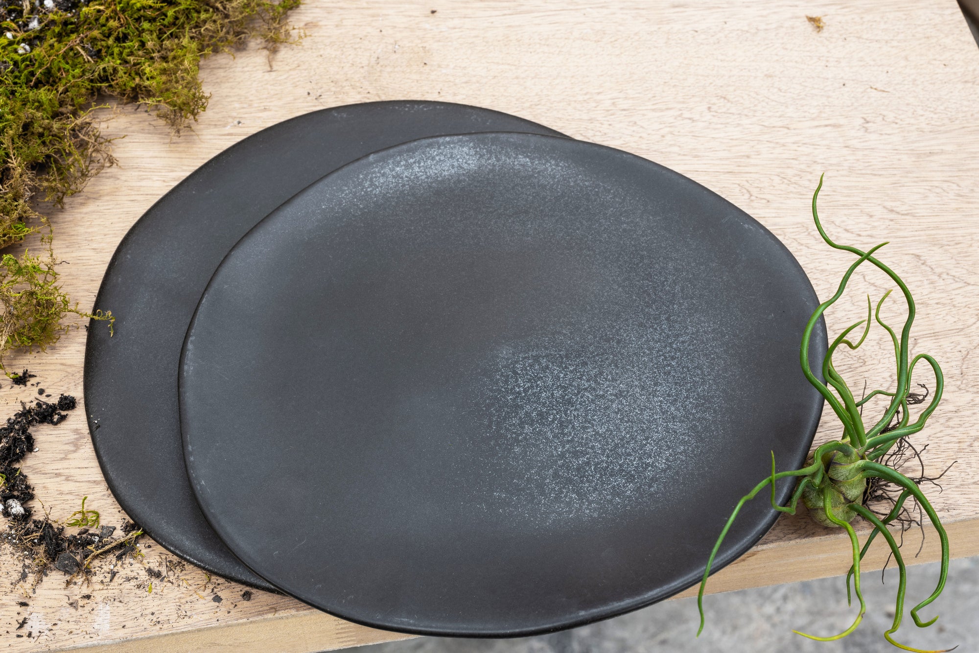 Medium Dinner Plate