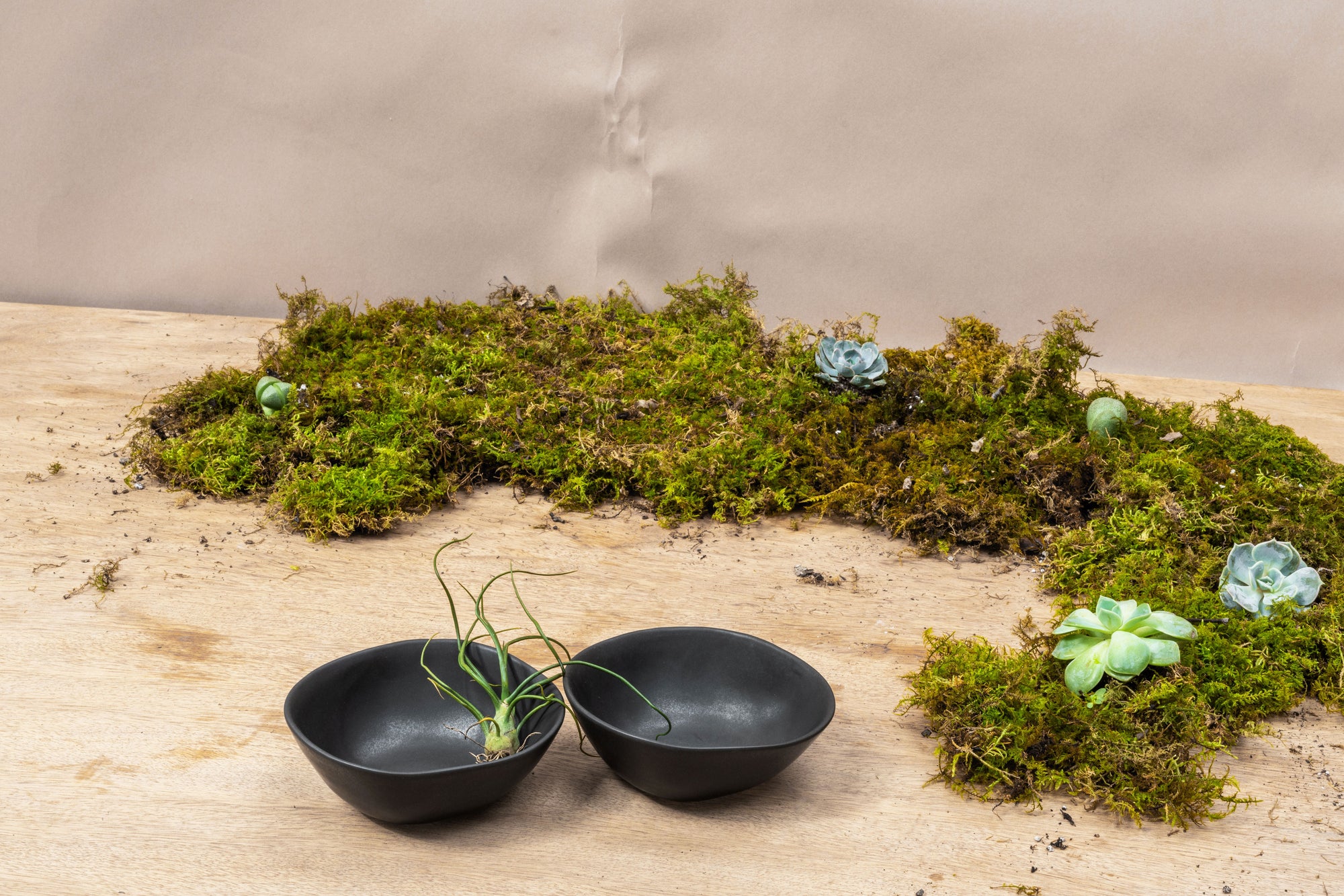 Small Dinner Bowl